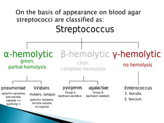 On the basis of appearance on blood agar
streptococci are classified as:
 