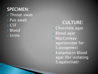 SPECIMEN:
 Throat swab
 Pus swab
 CSF
 Blood
 Urine
CULTURE:
 Chocolate agar
 Blood agar
 MacConkey
agar(except for
S.pyogenes)
 Kanamycin Blood
agar (for isolating
S.agalactiae)
 