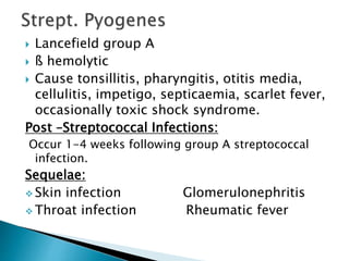  Lancefield group A
 ß hemolytic
 Cause tonsillitis, pharyngitis, otitis media,
cellulitis, impetigo, septicaemia, scarlet fever,
occasionally toxic shock syndrome.
Post –Streptococcal Infections:
Occur 1-4 weeks following group A streptococcal
infection.
Sequelae:
 Skin infection Glomerulonephritis
 Throat infection Rheumatic fever
 
