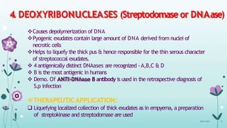 4. DEOXYRIBONUCLEASES (Streptodornaseor DNAase)
Causes depolymerization of DNA
Pyogenic exudates contain large amount of DNA derived from nuclei of
necrotic cells
Helps to liquefy the thick pus & hence responsible for the thin serous character
of streptococcal exudates.
 4 antigenically distinct DNAases are recognized -A,B,C & D
 B is the most antigenic in humans
 Demo. Of ANTI-DNAase B antibody is used in the retrospective diagnosis of
S.p infection
THERAPEUTIC APPLICATION:
 Liquefying localized collection of thick exudates as in empyema, a preparation
of streptokinase and streptodornase are used
08-07-2015 15
 