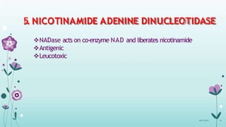 5. NICOTINAMIDE ADENINE DINUCLEOTIDASE
08-07-2015 16
NADase acts on co-enzyme NAD and liberates nicotinamide
Antigenic
Leucotoxic
 
