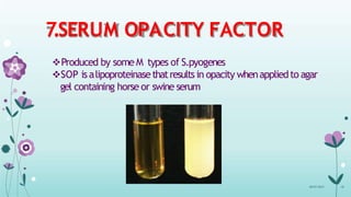 7.SERUM OPACITY FACTOR
Produced by some M types of S.pyogenes
SOP isalipoproteinasethatresultsin opacity whenappliedto agar
gel containing horse or swine serum
08-07-2015 18
 