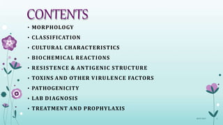 CONTENTS
08-07-2015 2
• MORPHOLOGY
• CLASSIFICATION
• CULTURAL CHARACTERISTICS
• BIOCHEMICAL REACTIONS
• RESISTENCE & ANTIGENIC STRUCTURE
• TOXINS AND OTHER VIRULENCE FACTORS
• PATHOGENICITY
• LAB DIAGNOSIS
• TREATMENT AND PROPHYLAXIS
 