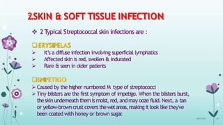 2.SKIN & SOFT TISSUE INFECTION
 2Typical Streptococcal skin infections are :
ERYSIPELAS
 It’s a diffuse infection involving superficial lymphatics
 Affected skin is red, swollen & indurated
 Rare & seen in older patients
IMPETIGO
Caused by the higher numbered M type of streptococci
Tiny blisters are the first symptom of impetigo. When the blisters burst,
theskin underneath themismoist,red,andmayoozefluid.Next, a tan
or yellow-browncrustcovers thewetareas,makingitlook likethey've
been coated with honey or brown sugar
.
08-07-2015 23
 