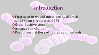 introduction
08-07-2015 3
First seen in wound infections by Billroth –
called them streptococci-1874
Gram Positive cocci
Arranged in chains
Part of normal flora of humans and animals
 