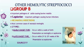 OTHER HEMOLYTIC STREPTOCOCCI
GROUP B
Important pathogens of cattlecausing bovine mastitis
S.agalactiae – important pathogen causing human infections
NEONATAL INFECTIONS
Most common cause of neonatal meningitis
2TYPES :
1)EARLY ONSET TYPE : Occur within a week of birth
Presentation as meningitis or septicemia
2)LATE ONSET TYPE : Occur within 2nd & 12th weeks of life
Presentation as septicemia
SOURCE???
08-07-2015 39
 