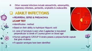  Other neonatal infections include osteoarthritis, osteomyelitis,
respiratory infections, peritonitis, omphalitis & endocarditis
 ADULT INFECTIONS
PEURPERAL SEPSIS & PNEUMONIA
CAMP TEST
Identification method
Based on their ability to hydrolyze Hippuric acid
A zone of hemolysis is seen when S.agalactiae is inoculated
perpendicular to streak of S.aureus grown on blood agar
Human pathogenic GROUP B strains possess a polysaccharide capsule
that gives virulence
9 capsular serotypes have been identified
08-07-2015 40
 