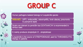 GROUP C
Human pathogens isolated belongs to S.equisimilis species
DISEASES : URTI, endocarditis, osteomyelitis, brain abscess, pneumonia
& puerperal sepsis
Strains are tolerant to penicillin but GENTAMICIN is recommended in
serious cases
It mainly produces streptolysin O ,streptokinase
S.equisimilis is the source of STREPTOKINASE used for THROMBOLYTIC
therapy in patients
08-07-2015 41
 