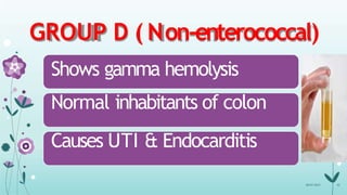 GROUP D ( Non-enterococcal)
Shows gamma hemolysis
Normal inhabitants of colon
Causes UTI & Endocarditis
08-07-2015 42
 