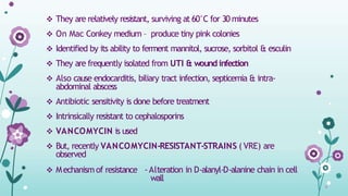  They are relatively resistant, surviving at 60°C for 30 minutes
 On Mac Conkey medium – produce tiny pink colonies
 Identified by its ability to ferment mannitol, sucrose, sorbitol & esculin
 They are frequently isolated from UTI & wound infection
 Also cause endocarditis, biliary tract infection, septicemia & intra-
abdominal abscess
 Antibiotic sensitivity is done before treatment
 Intrinsically resistant to cephalosporins
 VANCOMYCIN is used
 But, recently VANCOMYCIN-RESISTANT-STRAINS ( VRE) are
observed
 Mechanism of resistance -Alteration in D-alanyl-D-alanine chain in cell
wall
 