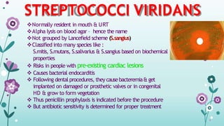 STREPTOCOCCI VIRIDANS
Normally resident in mouth & URT
Alpha lysis on blood agar – hence the name
Not grouped by Lancefield scheme (S.sangius)
Classified into many species like :
S.mitis, S.mutans, S.salivarius & S.sangius based on biochemical
properties
 Risks in people with pre-existing cardiac lesions
 Causes bacterial endocarditis
 Following dentalprocedures, they causebacteremia& get
implanted on damaged or prosthetic valves or in congenital
HD & grow to form vegetation
 Thus penicillin prophylaxis is indicated before the procedure
 But antibiotic sensitivity is determined for proper treatment
 