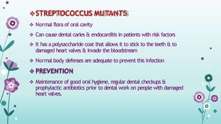 STREPTOCOCCUS MUTANTS
 Normal flora of oral cavity
 Can cause dental caries & endocarditis in patients with risk factors
 It has a polysaccharide coat that allows it to stick to the teeth & to
damaged heart valves & invade the bloodstream
 Normal body defenses are adequate to prevent this infection
 PREVENTION
 Maintenance of good oral hygiene, regular dental checkups &
prophylactic antibiotics prior to dental work on people with damaged
heart valves.
 