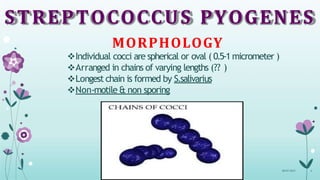 STREPTOCOCCUS PYOGENES
MORPHOLOGY
Individual cocci are spherical or oval ( 0.5-1micrometer )
Arranged in chains of varying lengths (?? )
Longest chain is formed by S.salivarius
Non-motile & non sporing
08-07-2015 6
 