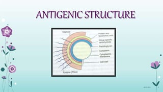 ANTIGENIC STRUCTURE
08-07-2015 9
 