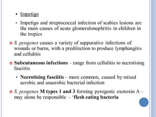 Streptococci.pdf
