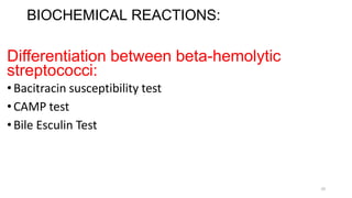 10
BIOCHEMICAL REACTIONS:
Differentiation between beta-hemolytic
streptococci:
•Bacitracin susceptibility test
•CAMP test
•Bile Esculin Test
 