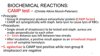 13
BIOCHEMICAL REACTIONS:
CAMP test – (Christie Atkins Munch-Petersen)
•Principle:
• Group B streptococci produce extracellular protein (CAMP factor)
• CAMP act synergistically with staph. beta-lysin to cause lysis of RBCs
•Procedure:
• Single streak of streptococci to be tested and staph. aureus are
made perpendicular to each other
• 3 – 5mm distance was left between two streaks
• After incubation, a positive result appear as an arrowhead shaped
zone of complete hemolysis
•S. agalactiae is CAMP test positive while non-group B
streptococci are negative
 
