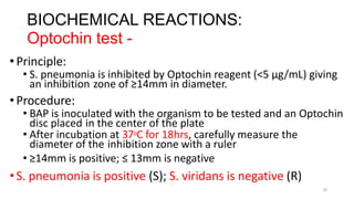 18
BIOCHEMICAL REACTIONS:
Optochin test -
•Principle:
• S. pneumonia is inhibited by Optochin reagent (<5 μg/mL) giving
an inhibition zone of ≥14mm in diameter.
•Procedure:
• BAP is inoculated with the organism to be tested and an Optochin
disc placed in the center of the plate
• After incubation at 37oC for 18hrs, carefully measure the
diameter of the inhibition zone with a ruler
• ≥14mm is positive; ≤ 13mm is negative
•S. pneumonia is positive (S); S. viridans is negative (R)
 