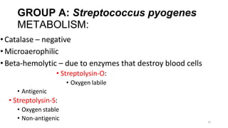 26
GROUP A: Streptococcus pyogenes
METABOLISM:
•Catalase – negative
•Microaerophilic
•Beta-hemolytic – due to enzymes that destroy blood cells
• Streptolysin-O:
• Oxygen labile
• Antigenic
• Streptolysin-S:
• Oxygen stable
• Non-antigenic
 