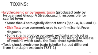 28
TOXINS:
•Erythrogenic or pyrogenic toxin (produced only by
lysogenized Group A Streptococci): responsible for
scarlet fever
•More than 4 serologically distinct toxins (Spe - A, B, C and F).
•Dick Test: once commonly used to confirm Scarlet Fever
diagnosis.
•Some strains produce pyrogenic exotoxins which act as
superantigens that superstimulate T cell leading to release
of cytokine which cause the Toxic shock syndrome.
•Toxic shock syndrome toxin (similar to, but different
from the staph exotoxin TSST-1)
 