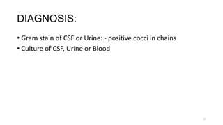 37
DIAGNOSIS:
• Gram stain of CSF or Urine: - positive cocci in chains
• Culture of CSF, Urine or Blood
 
