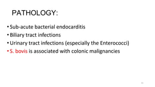 43
PATHOLOGY:
•Sub-acute bacterial endocarditis
•Biliary tract infections
•Urinary tract infections (especially the Enterococci)
•S. bovis is associated with colonic malignancies
 