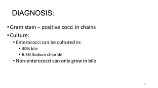 44
DIAGNOSIS:
•Gram stain – positive cocci in chains
•Culture:
• Enterococci can be cultured in:
• 40% bile
• 6.5% Sodium chloride
• Non-enterococci can only grow in bile
 