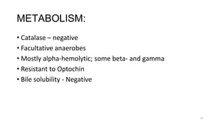 47
METABOLISM:
• Catalase – negative
• Facultative anaerobes
• Mostly alpha-hemolytic; some beta- and gamma
• Resistant to Optochin
• Bile solubility - Negative
 