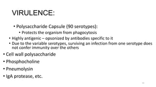 53
VIRULENCE:
• Polysaccharide Capsule (90 serotypes):
• Protects the organism from phagocytosis
• Highly antigenic – opsonized by antibodies specific to it
• Due to the variable serotypes, surviving an infection from one serotype does
not confer immunity over the others
• Cell wall polysaccharide
• Phosphocholine
• Pneumolysin
• IgA protease, etc.
 