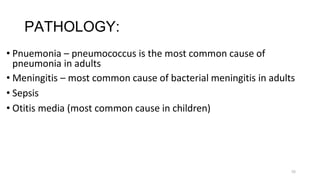 55
PATHOLOGY:
• Pnuemonia – pneumococcus is the most common cause of
pneumonia in adults
• Meningitis – most common cause of bacterial meningitis in adults
• Sepsis
• Otitis media (most common cause in children)
 