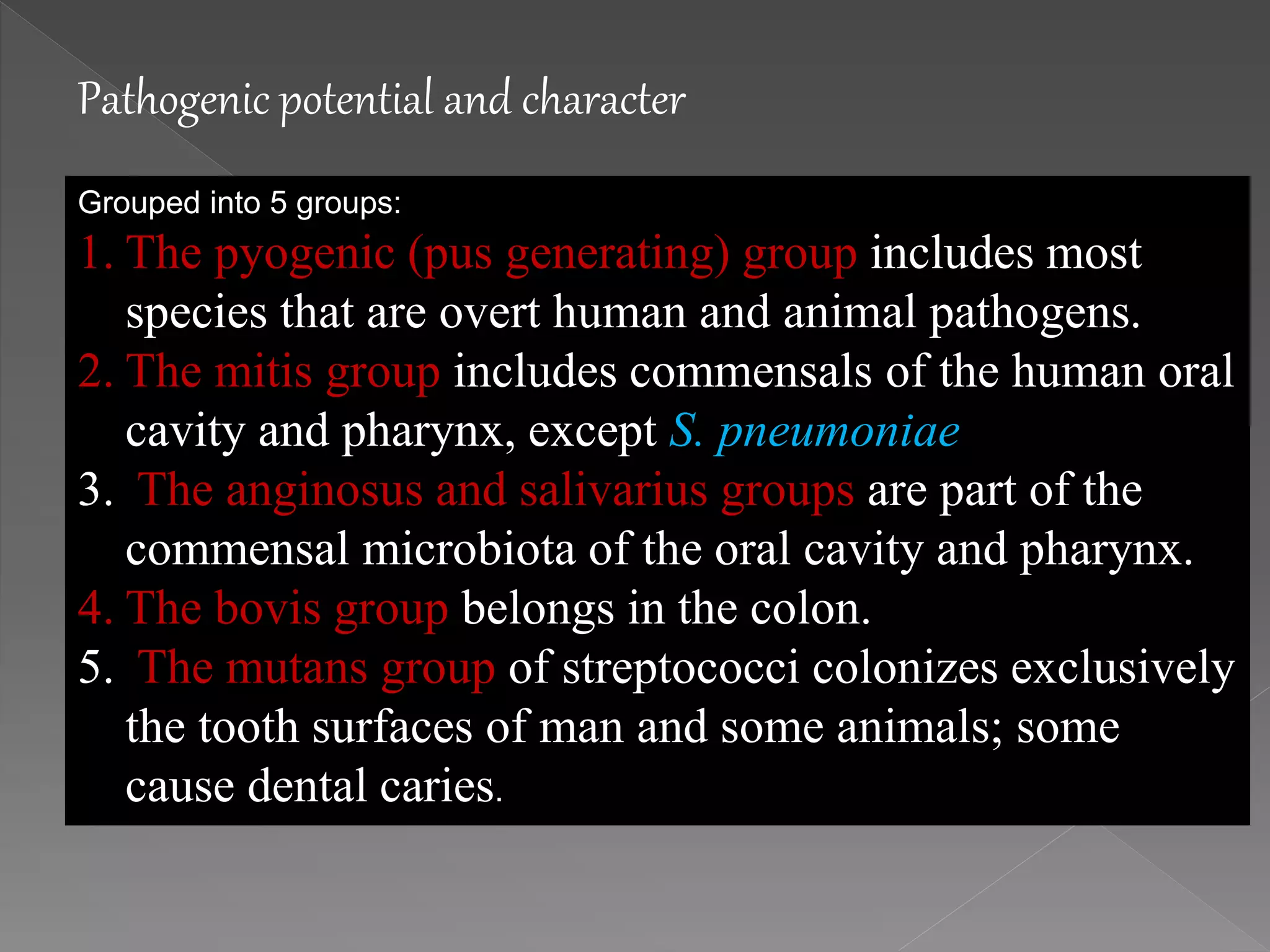 Streptococcus pyogens | PPTX