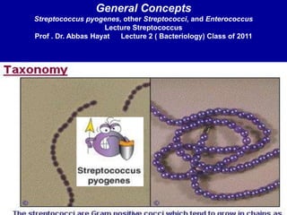 General Concepts
Streptococcus pyogenes, other Streptococci, and Enterococcus
Lecture Streptococcus
Prof . Dr. Abbas Hayat Lecture 2 ( Bacteriology) Class of 2011
 