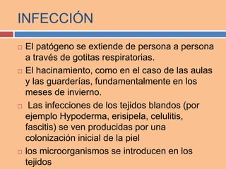 INFECCIÓN
 El patógeno se extiende de persona a persona
a través de gotitas respiratorias.
 El hacinamiento, como en el caso de las aulas
y las guarderías, fundamentalmente en los
meses de invierno.
 Las infecciones de los tejidos blandos (por
ejemplo Hypoderma, erisipela, celulitis,
fascitis) se ven producidas por una
colonización inicial de la piel
 los microorganismos se introducen en los
tejidos
 