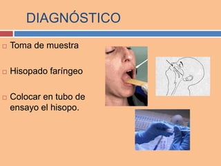 DIAGNÓSTICO
 Toma de muestra
 Hisopado faríngeo
 Colocar en tubo de
ensayo el hisopo.
 