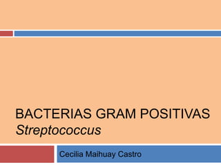 BACTERIAS GRAM POSITIVAS
Streptococcus
Cecilia Maihuay Castro
 