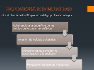  La virulencia de los Streptococos del grupo A esta dada por:
Adherencia a la superficie de las
celulas del organismo anfitrion
Invasion de celulas epiteliales
Mecanismos que evaden la
opsonizacion y fagocitosis
Produccion de toxinas y enzimas
 