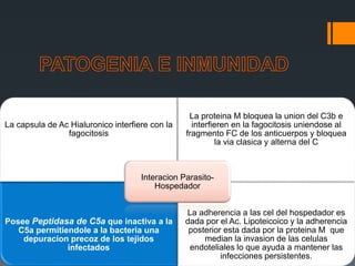 La capsula de Ac Hialuronico interfiere con la
fagocitosis
La proteina M bloquea la union del C3b e
interfieren en la fagocitosis uniendose al
fragmento FC de los anticuerpos y bloquea
la via clasica y alterna del C
Posee Peptidasa de C5a que inactiva a la
C5a permitiendole a la bacteria una
depuracion precoz de los tejidos
infectados
La adherencia a las cel del hospedador es
dada por el Ac. Lipoteicoico y la adherencia
posterior esta dada por la proteina M que
median la invasion de las celulas
endoteliales lo que ayuda a mantener las
infecciones persistentes.
Interacion Parasito-
Hospedador
 