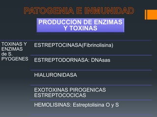 TOXINAS Y
ENZIMAS
de S.
PYOGENES
ESTREPTOCINASA(Fibrinolisina)
ESTREPTODORNASA: DNAsas
HIALURONIDASA
EXOTOXINAS PIROGENICAS
ESTREPTOCOCICAS
HEMOLISINAS: Estreptolisina O y S
PRODUCCION DE ENZIMAS
Y TOXINAS
 