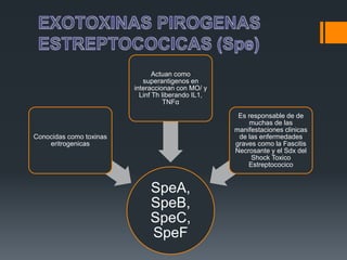 SpeA,
SpeB,
SpeC,
SpeF
Conocidas como toxinas
eritrogenicas
Actuan como
superantigenos en
interaccionan con MO/ y
Linf Th liberando IL1,
TNFα
Es responsable de de
muchas de las
manifestaciones clinicas
de las enfermedades
graves como la Fascitis
Necrosante y el Sdx del
Shock Toxico
Estreptococico
 