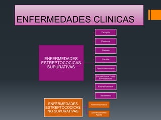 ENFERMEDADES CLINICAS
ENFERMEDADES
ESTREPTOCOCICAS
SUPURATIVAS
Faringitis
Pioderma
Erisipela
Celulitis
Fascitis Necrosante
Sdx del Shock Toxico
Estreptococico
Fiebre Puerperal
Bacteremia
ENFERMEDADES
ESTREPTOCOCICAS
NO SUPURATIVAS
Fiebre Reumatica
Glomerulonefritis
Aguda
 