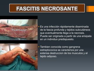 FASCITIS NECROSANTE
 Es una infección rápidamente diseminada
de la fascia profunda y tejidos subcutáneos
que eventualmente llega a la necrosis.
Puede ser originada a partir de una erisipela
en un individuo predispuesto.
 Tambien conocida como gangrena
estreptococica se caracteriza por una
extensa destruccion de los musculos y el
tejido adiposo.
 