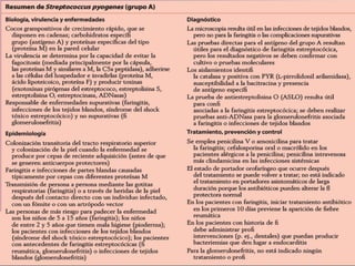 Streptococcus Pyogenes