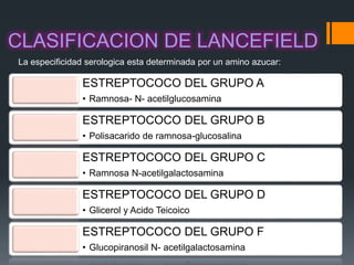CLASIFICACION DE LANCEFIELD
ESTREPTOCOCO DEL GRUPO A
• Ramnosa- N- acetilglucosamina
ESTREPTOCOCO DEL GRUPO B
• Polisacarido de ramnosa-glucosalina
ESTREPTOCOCO DEL GRUPO C
• Ramnosa N-acetilgalactosamina
ESTREPTOCOCO DEL GRUPO D
• Glicerol y Acido Teicoico
ESTREPTOCOCO DEL GRUPO F
• Glucopiranosil N- acetilgalactosamina
La especificidad serologica esta determinada por un amino azucar:
 