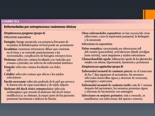 Streptococcus Pyogenes