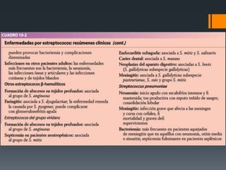 Streptococcus Pyogenes