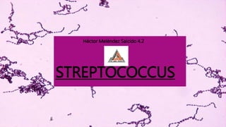 STREPTOCOCCUS
Héctor Meléndez Salcido 4.2
 