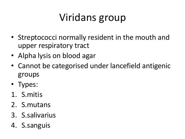Streptococcus
