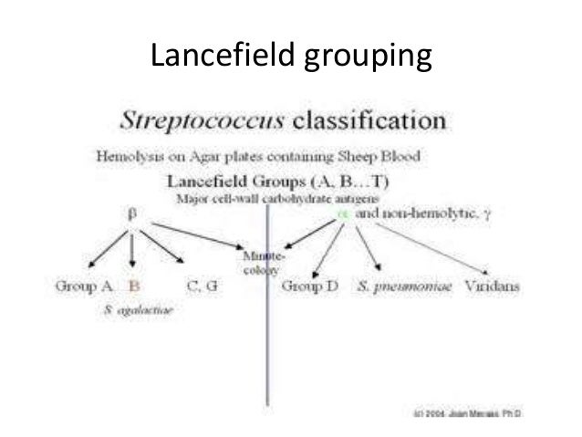 Lancefield Group A 10