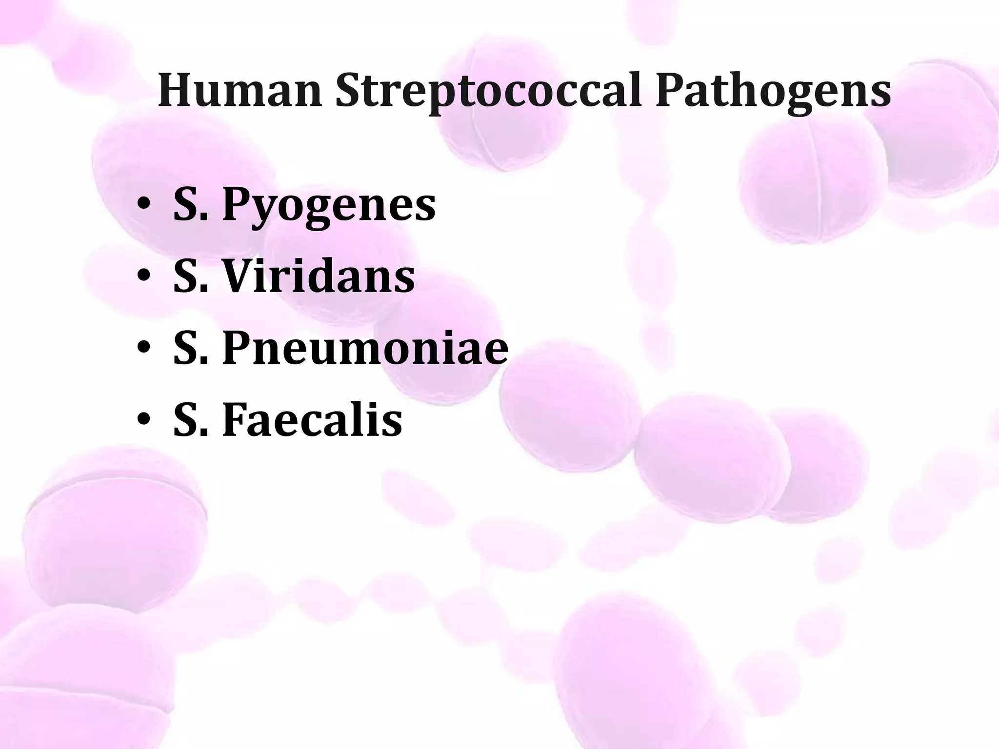Streptococcus 160915064757 Pdf