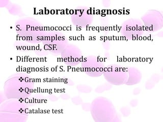 Gram staining
The diagnosis is suggested by the finding of gram
positive bacteria cocci arranged in pairs and short chain...